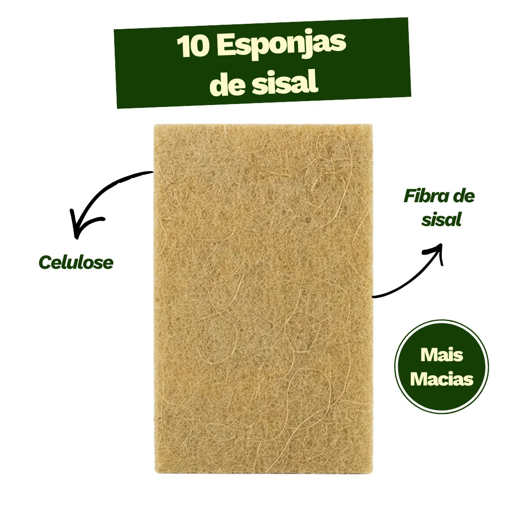 Kit Esponja Fibra de Sisal - 10 unidades