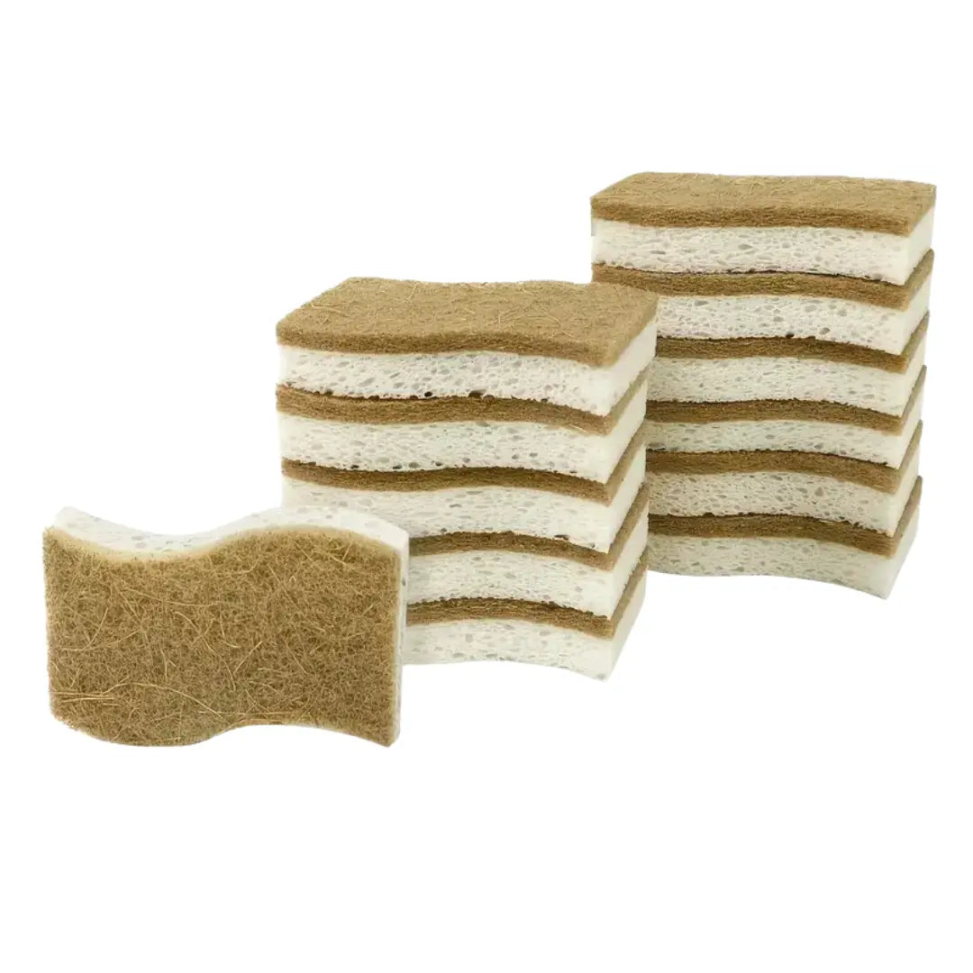 Kit com 10 Esponjas biodegradáveis Premium