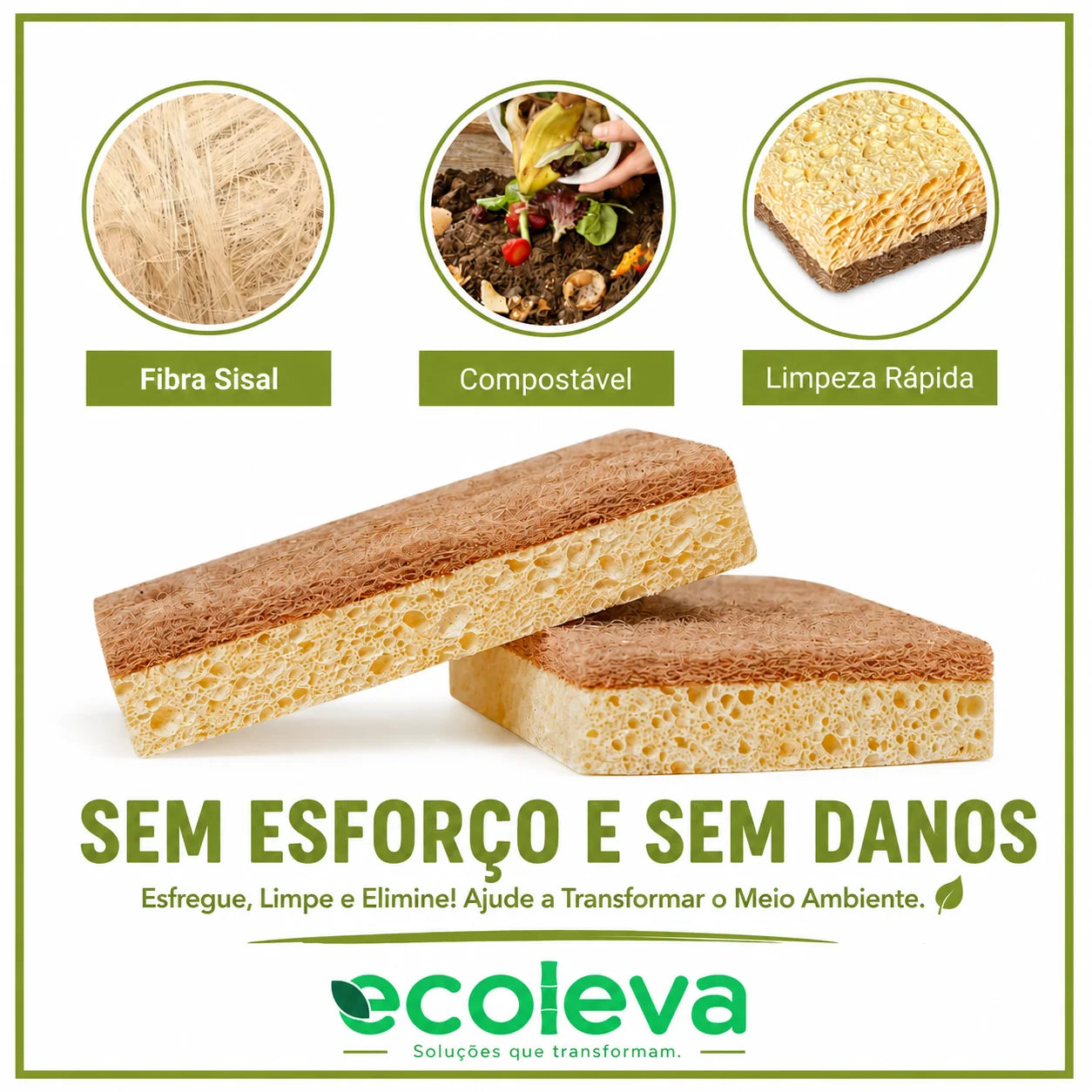 Kit Esponja Fibra de Sisal - 10 unidades