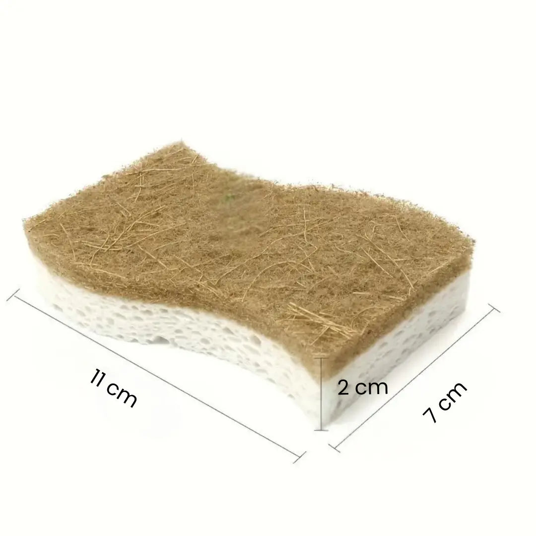 Kit com 10 Esponjas biodegradáveis Premium