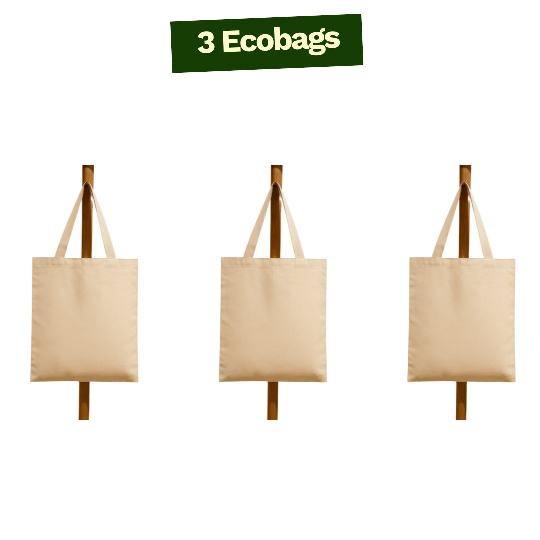 Ecobag Ecoleva – 100% Algodão Cru - 40x40cm - 3 unidades