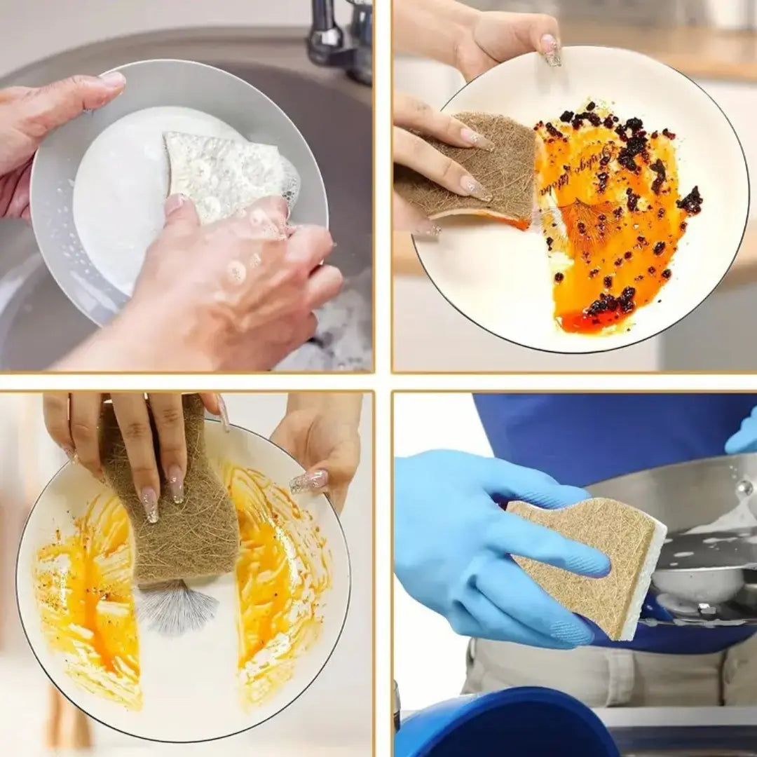 Kit com 10 Esponjas biodegradáveis Premium