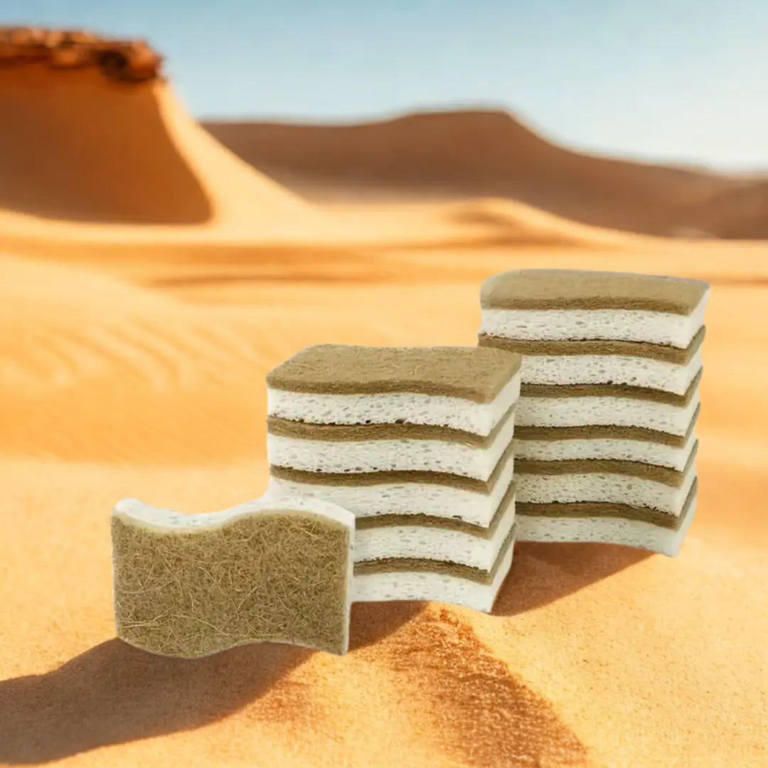 Kit com 10 Esponjas biodegradáveis Premium