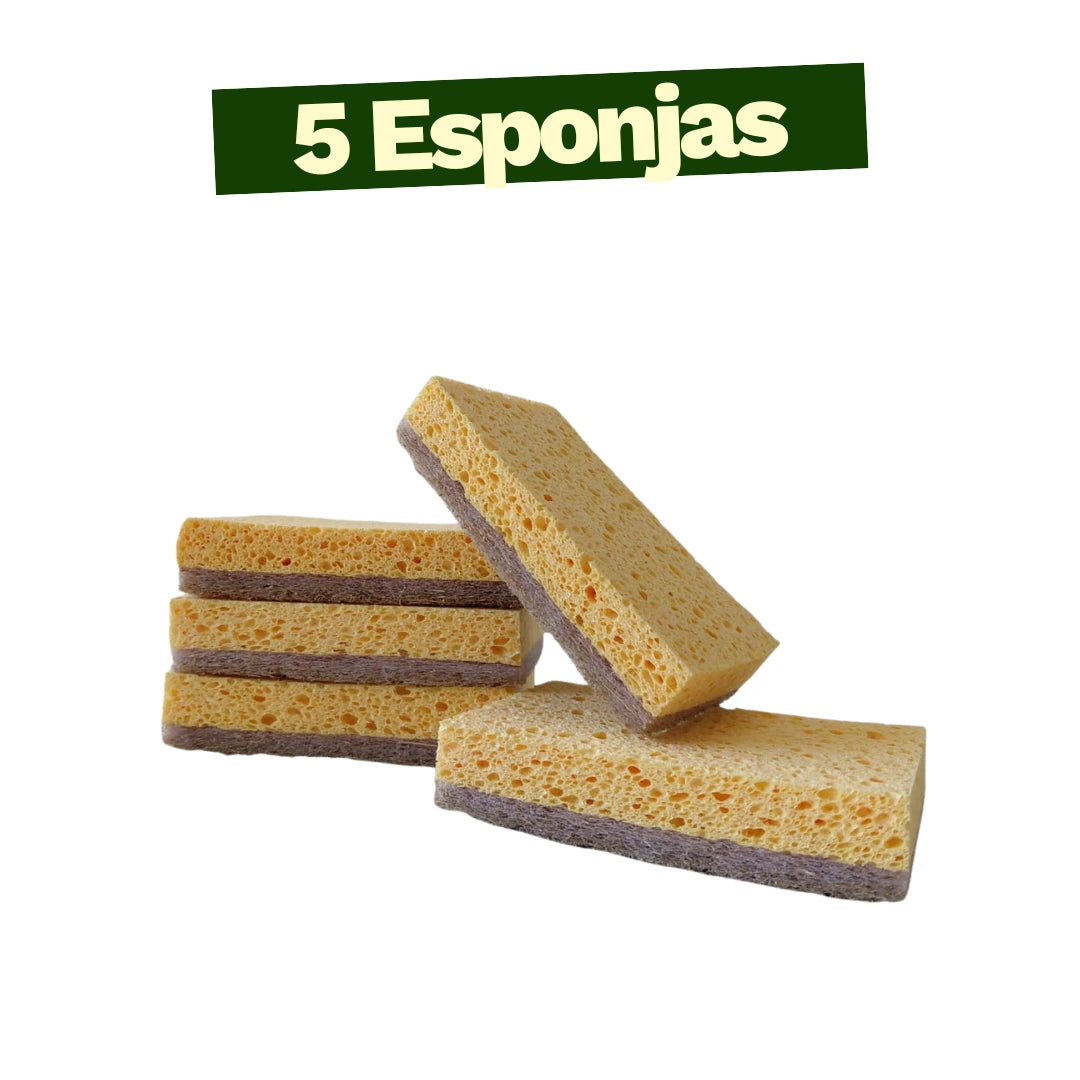 Kit Raiz Eco - 5 esponjas biodegradáveis