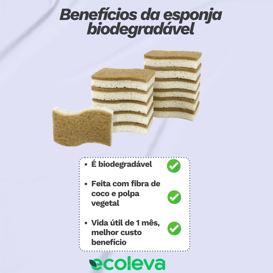 Kit com 10 Esponjas biodegradáveis Premium
