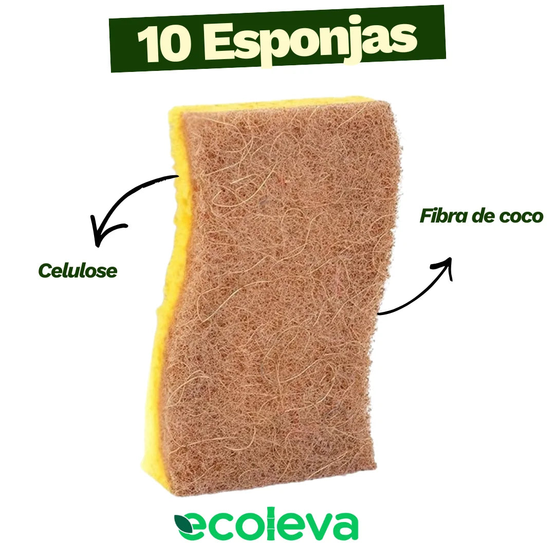 Kit Raiz Eco - 10 esponjas biodegradáveis