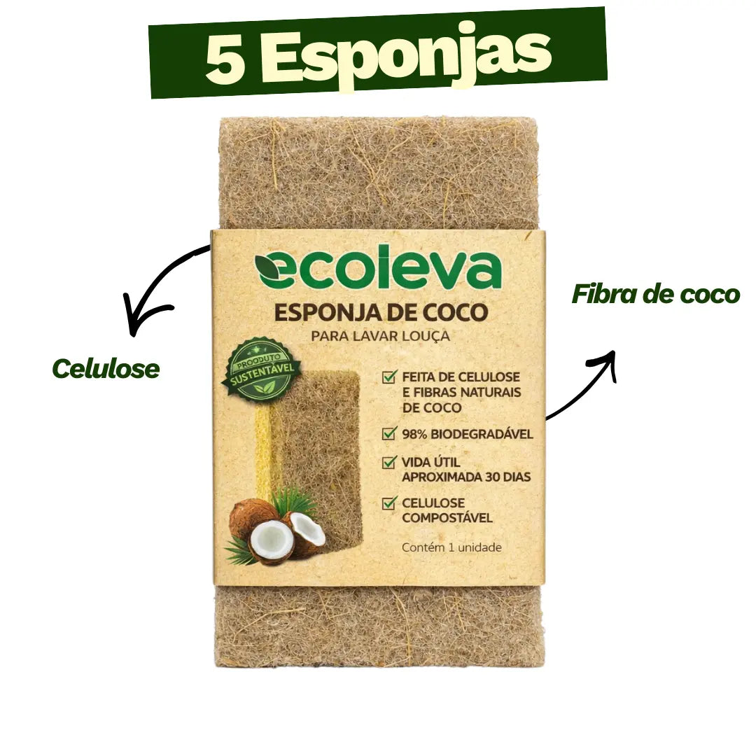 Kit Raiz Eco - 5 esponjas biodegradáveis