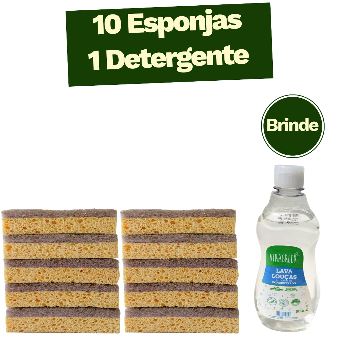 Kit 10 Esponjas Raiz Eco (BRINDE Detergente Natural)