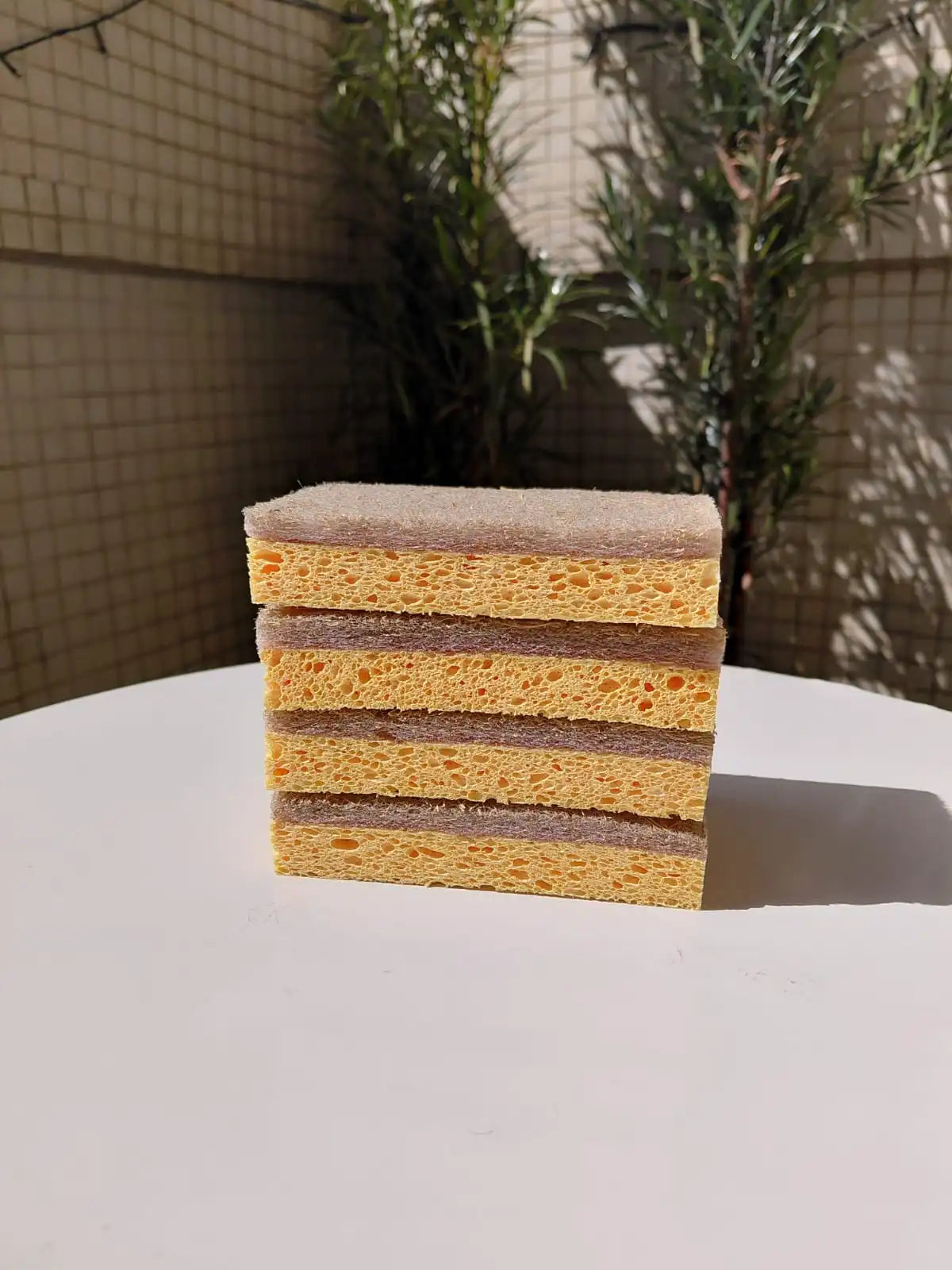 Kit Raiz Eco - 5 esponjas biodegradáveis