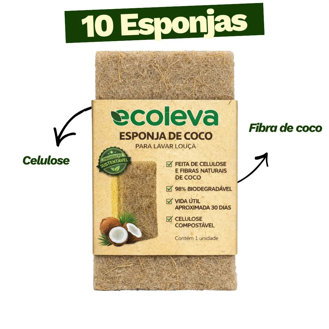 Kit Raiz Eco - 10 esponjas biodegradáveis