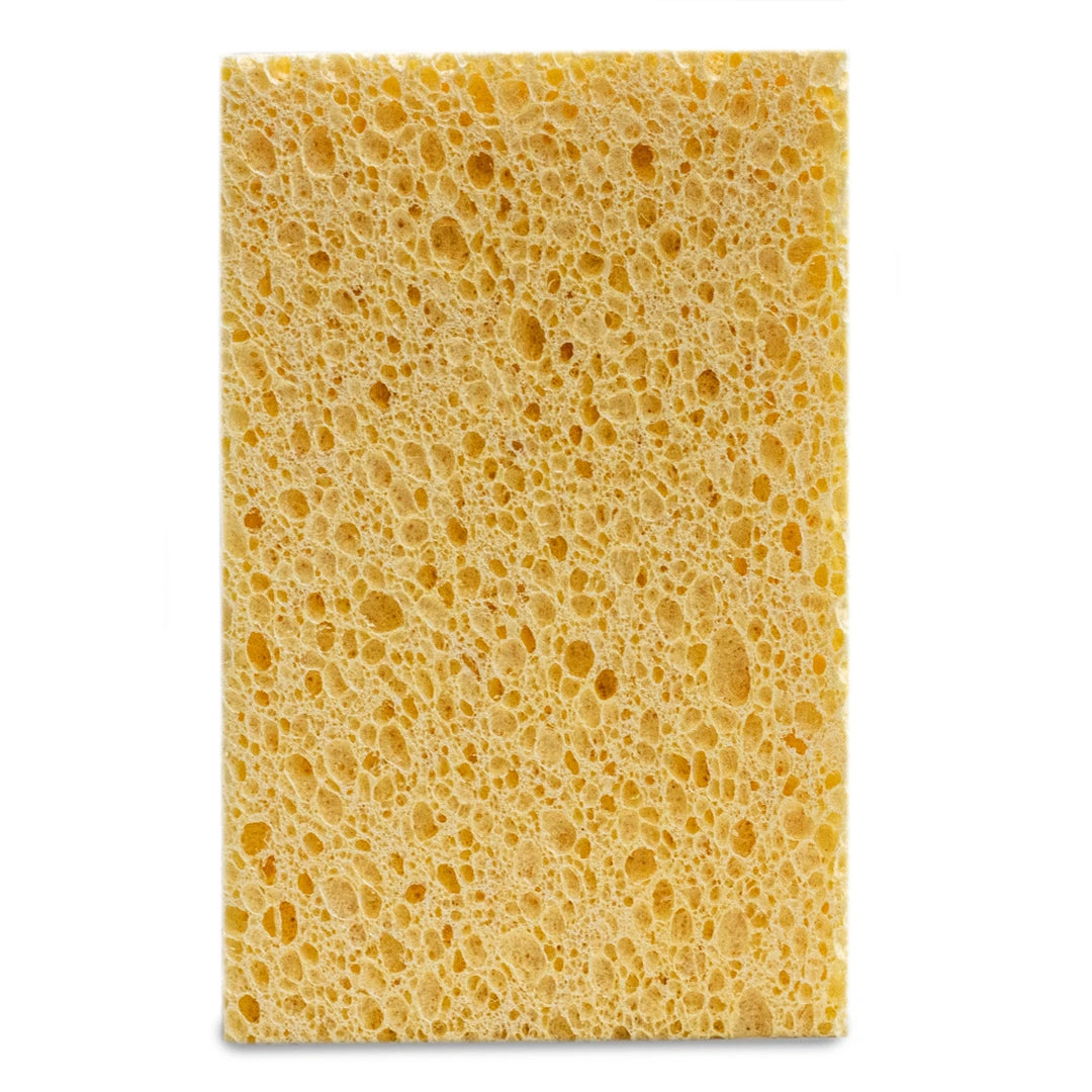 Kit Raiz Eco - 10 esponjas biodegradáveis