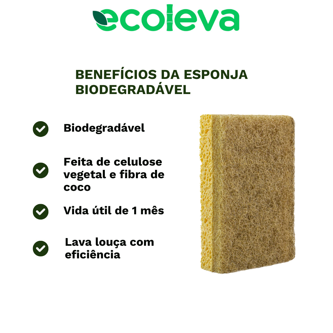 Kit Sustentabilidade - Esponjas Ecológicas e Escovas de Dente de Bambu