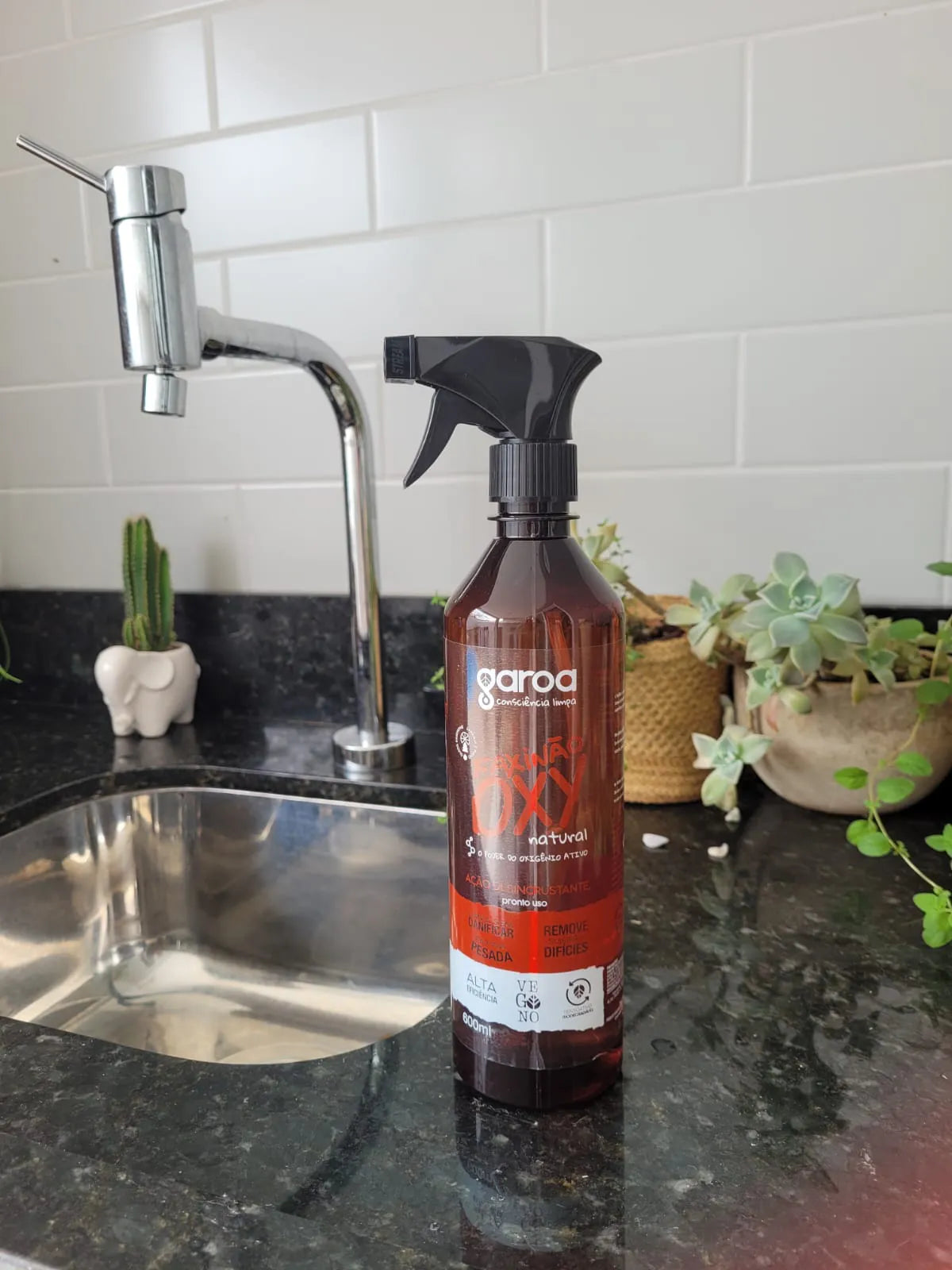 Kit Banheiro - 1 Limpa Banheiro e 1 Faxinão Oxy