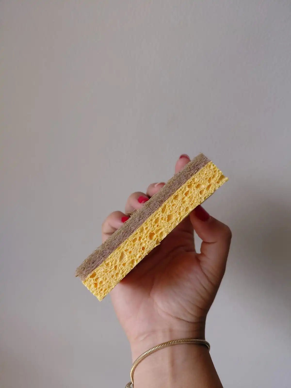 Kit Raiz Eco - 5 esponjas biodegradáveis - Ecoleva