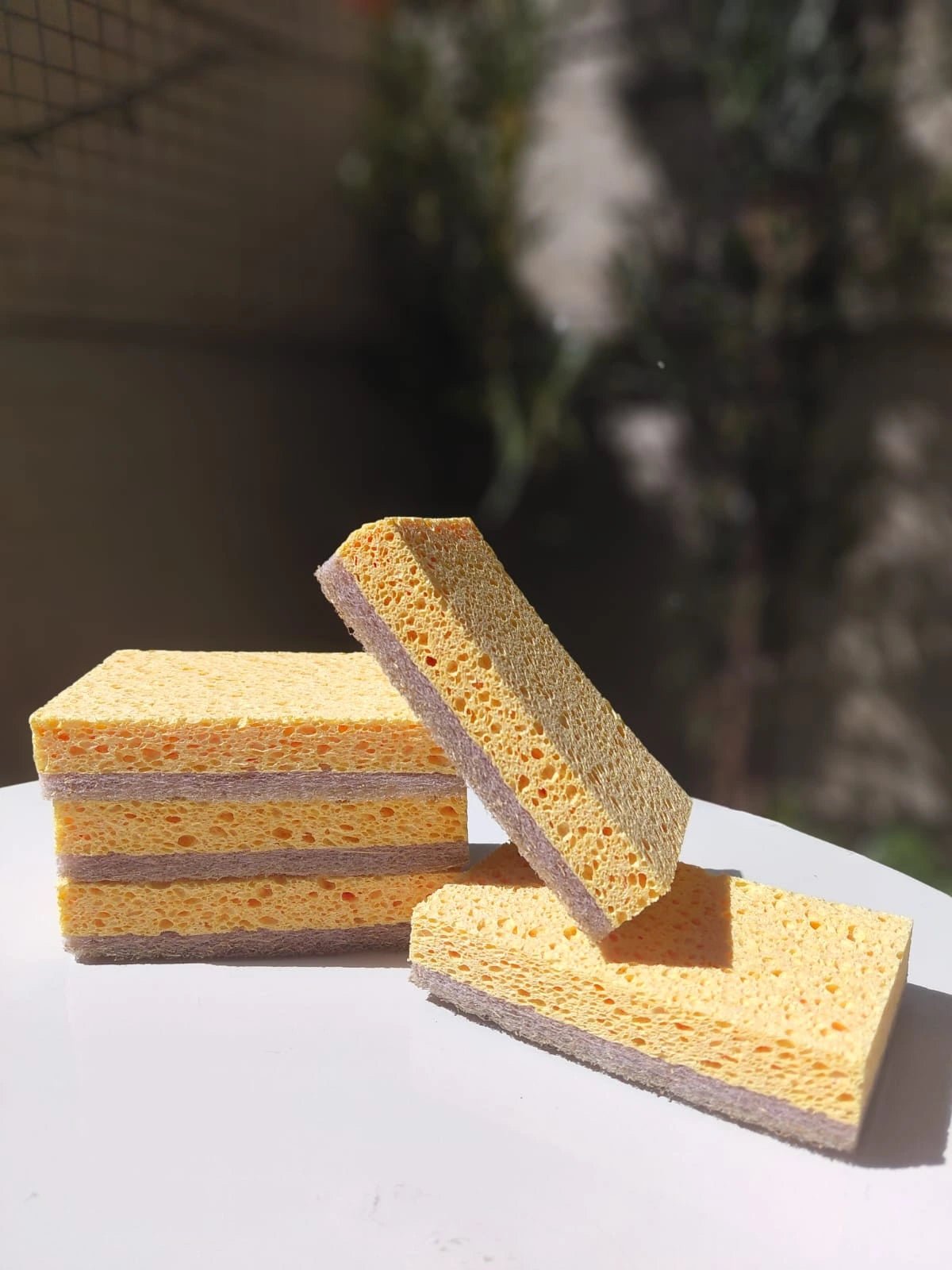 Kit Raiz Eco - 5 esponjas biodegradáveis - Ecoleva