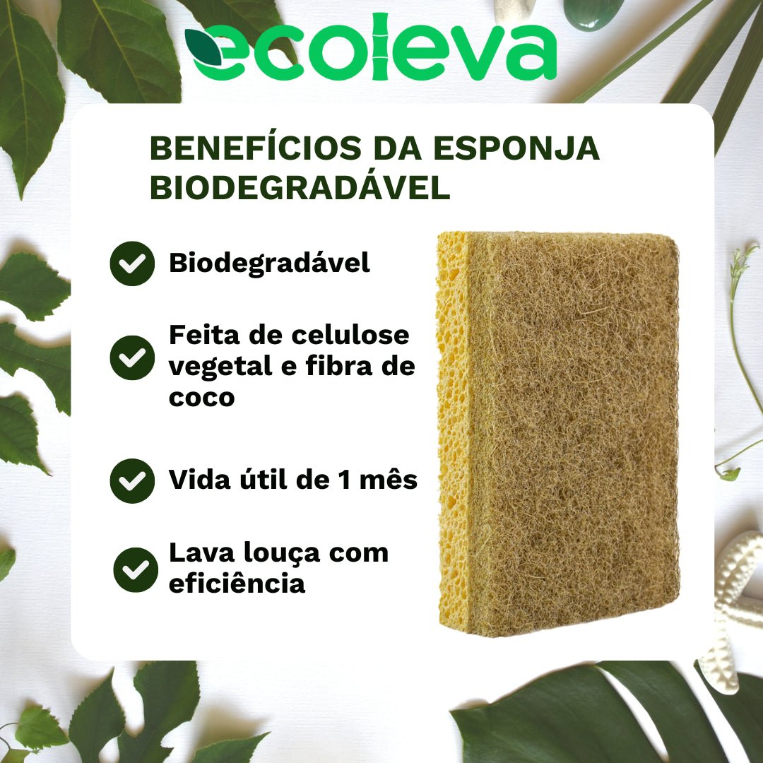 Kit Raiz Eco Super - 50 esponjas biodegradáveis - Ecoleva