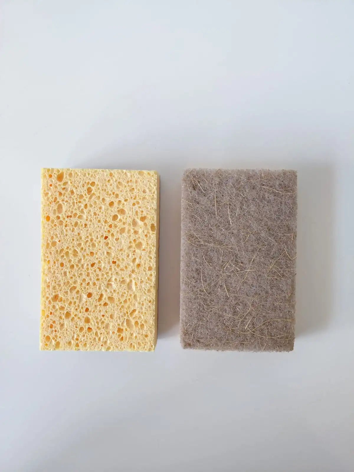 Kit Raiz Eco Super - 50 esponjas biodegradáveis - Ecoleva