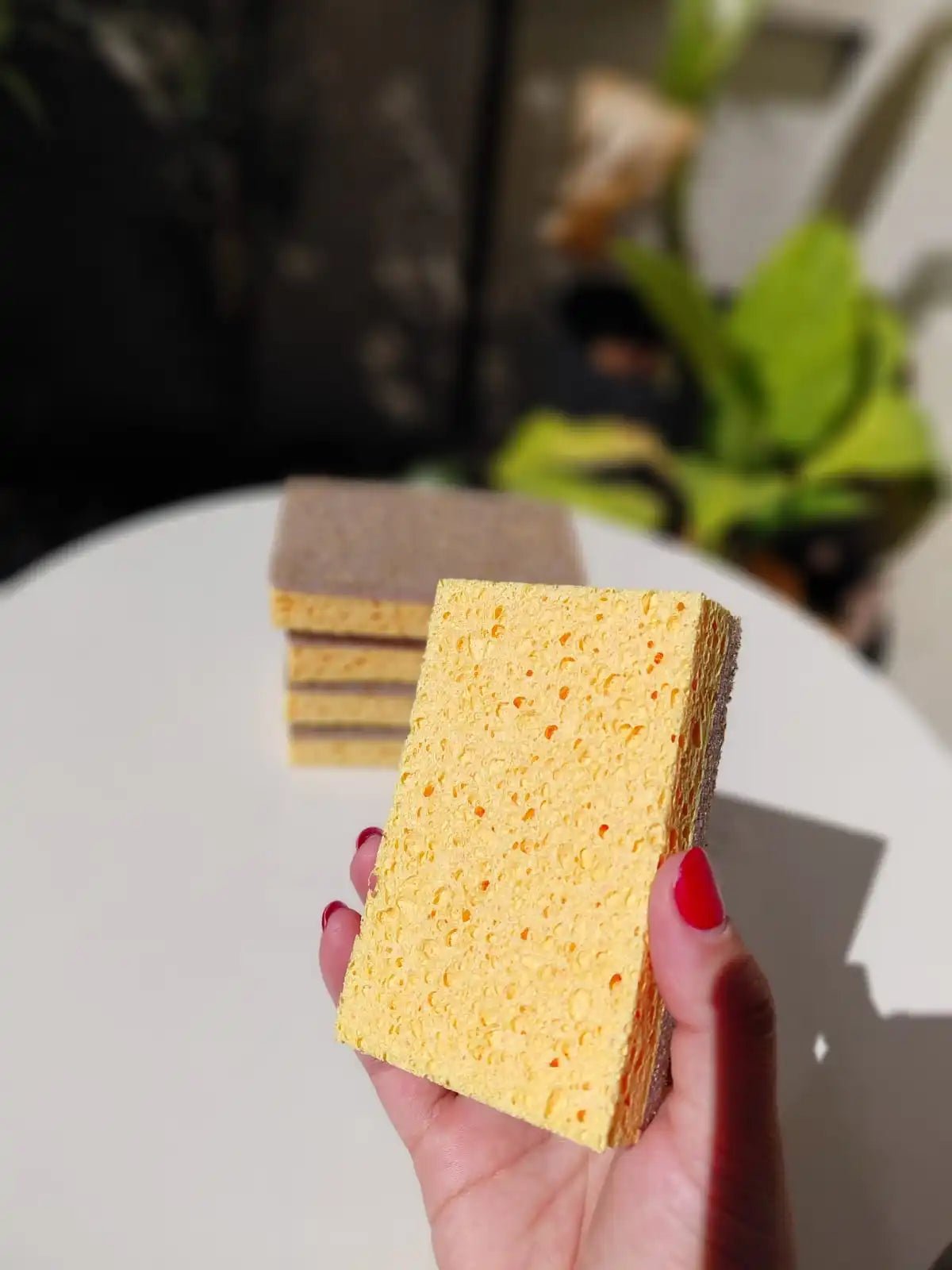 Kit Raiz Eco Super - 50 esponjas biodegradáveis - Ecoleva