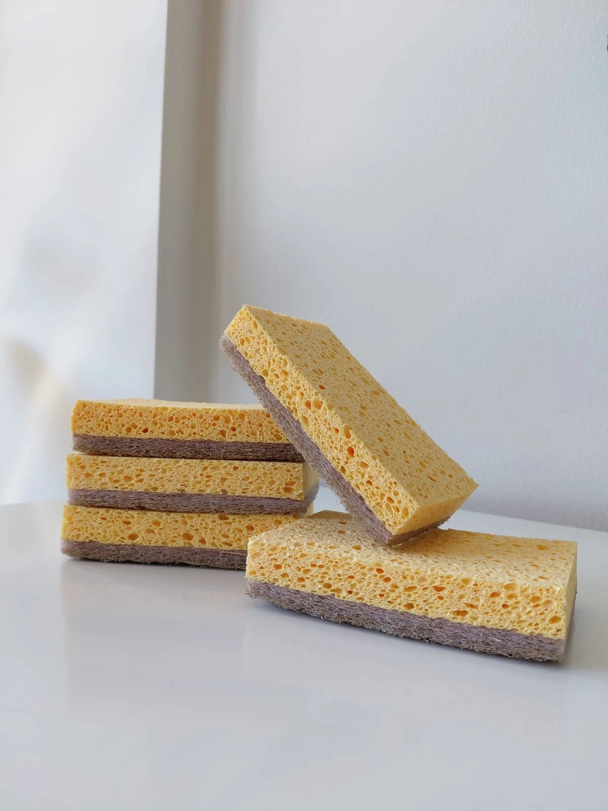 Kit Raiz Eco Super - 50 esponjas biodegradáveis - Ecoleva