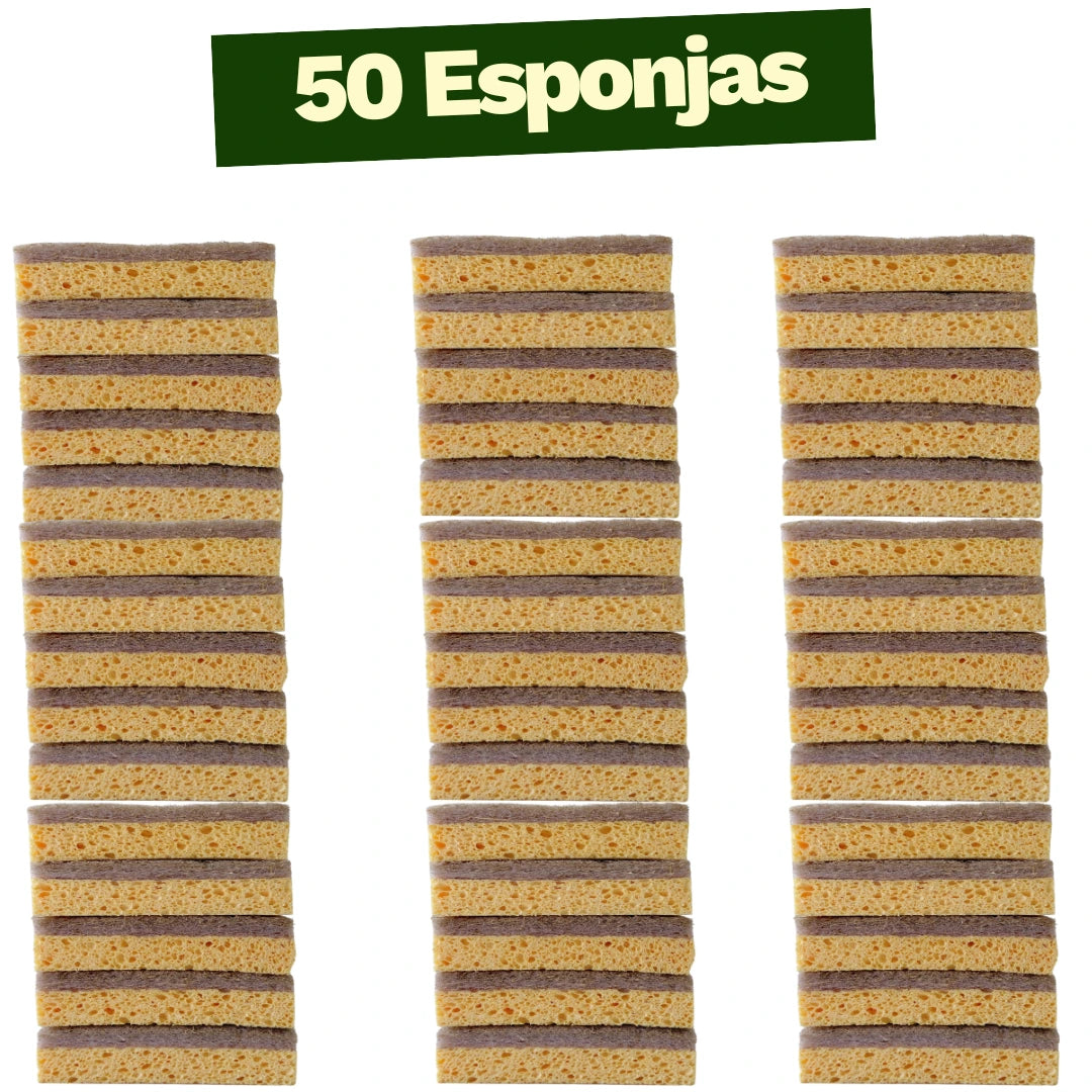 Kit Raiz Eco Super - 50 esponjas biodegradáveis